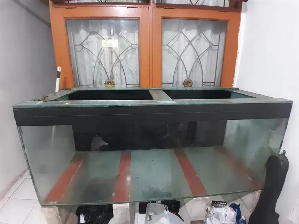 Aquarium Ikan predator