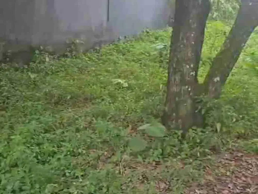 Jual Cepat Tanah SHM di Tridadi Sleman dekat Jl Magelang km 9,6