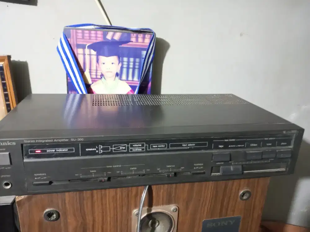 Amplifier technics su 300 mulus original