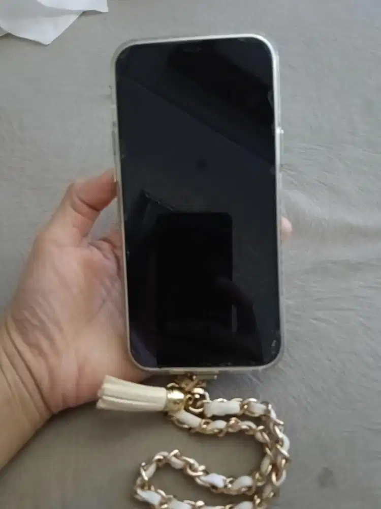 Iphone 12 Pro Max Inter