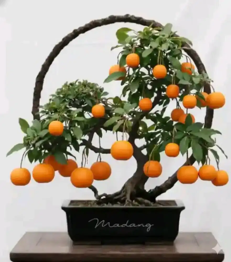 Mencari loker tukang kebun