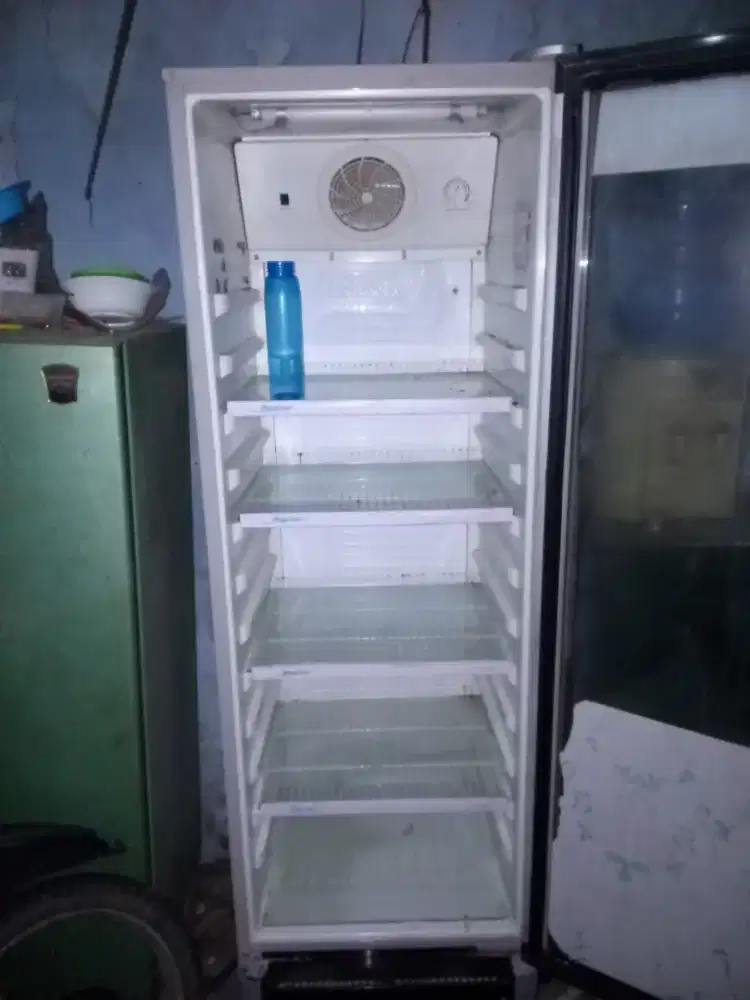 showcase polytron jumbo