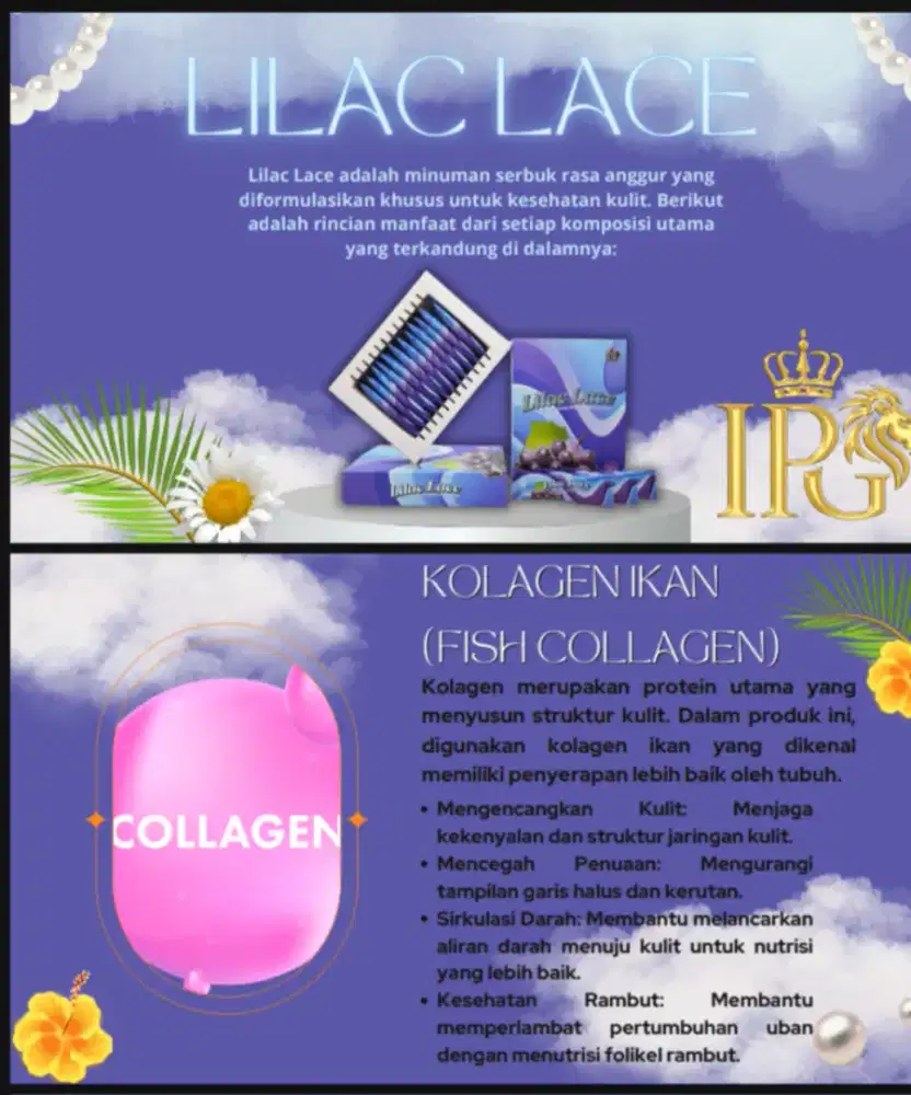 LILAC LACE minuman kesehatan