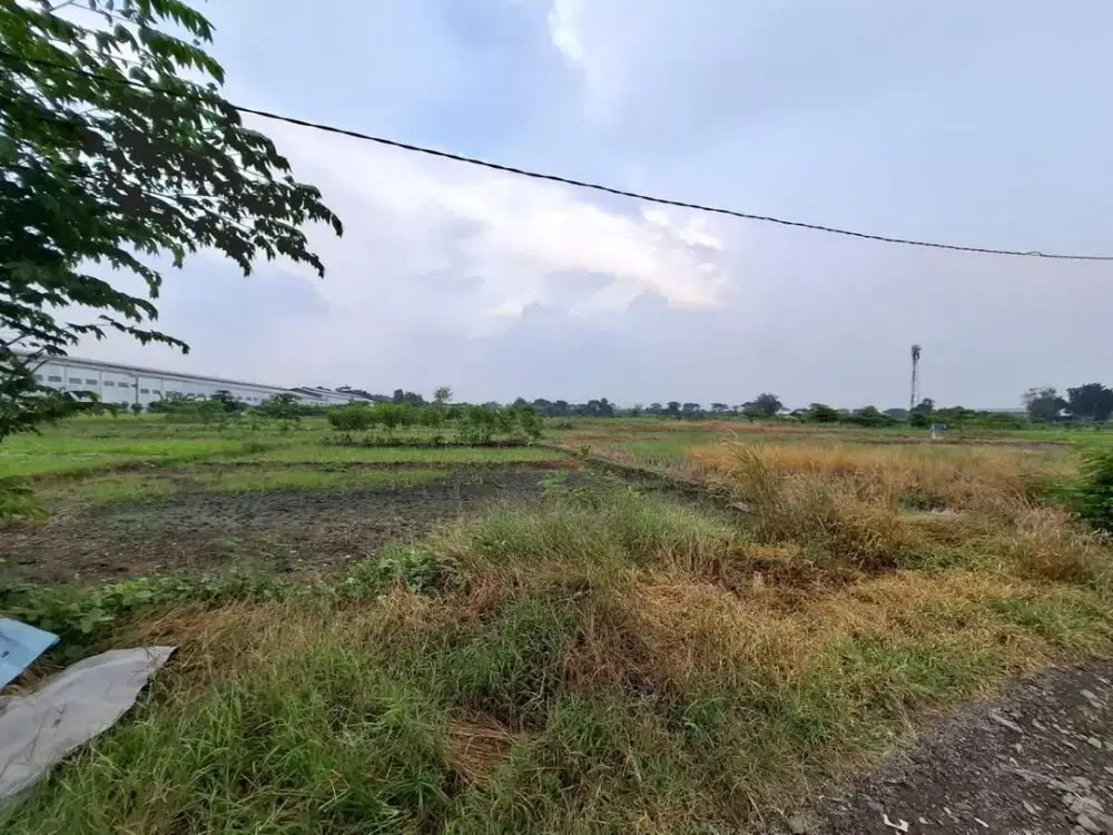 Tanah kawasan industri dekat pabrik miwon