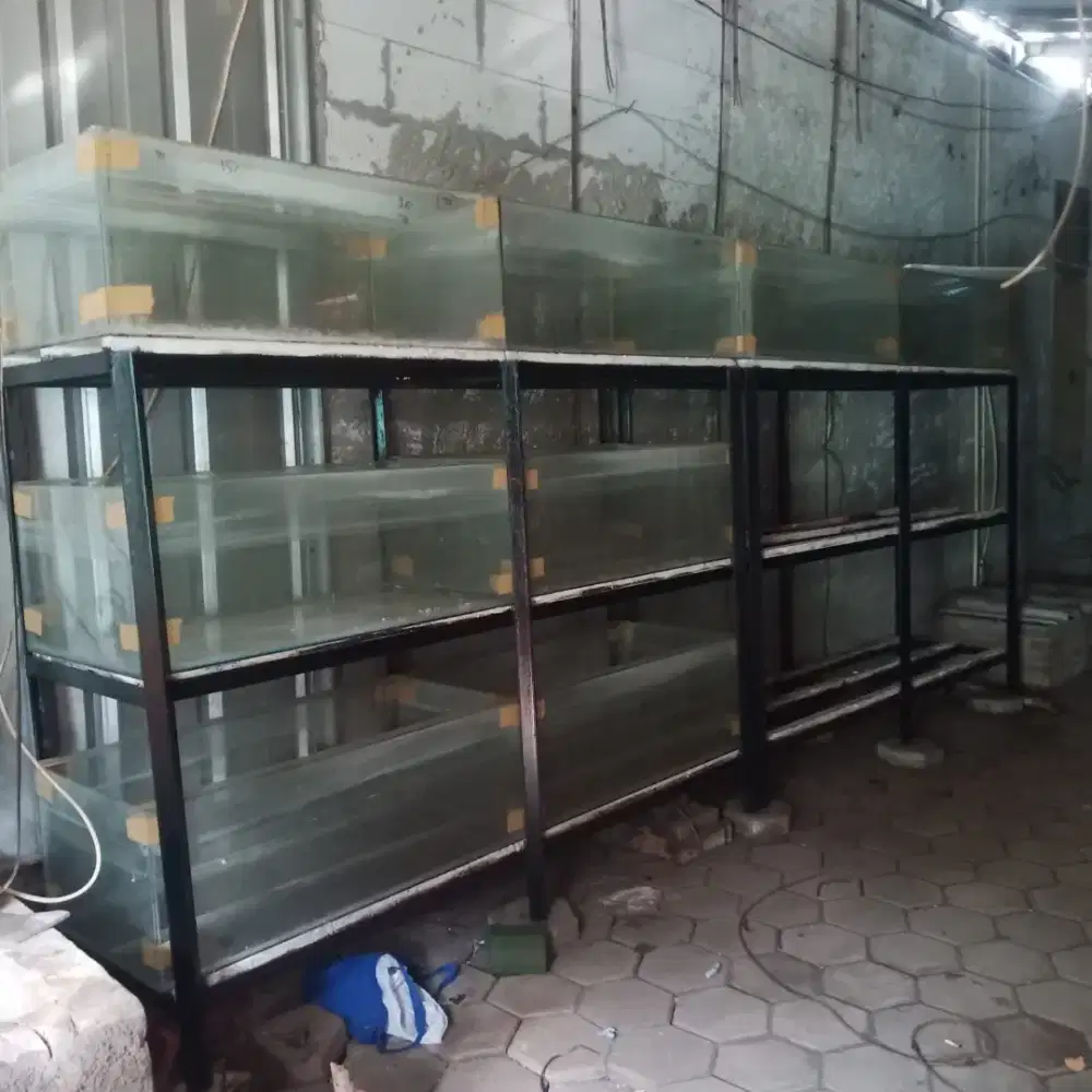 Aquarium bekas breeding