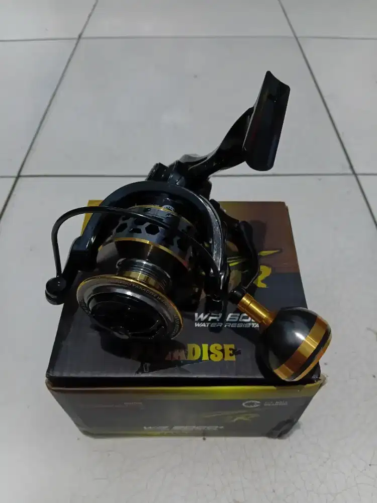 Reel paradise 6000 & joran UL paradise carbon im8