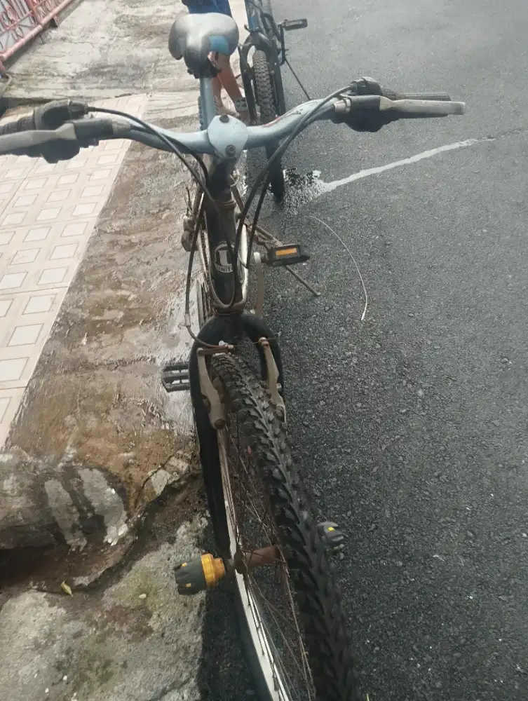 Sepeda United dewasa