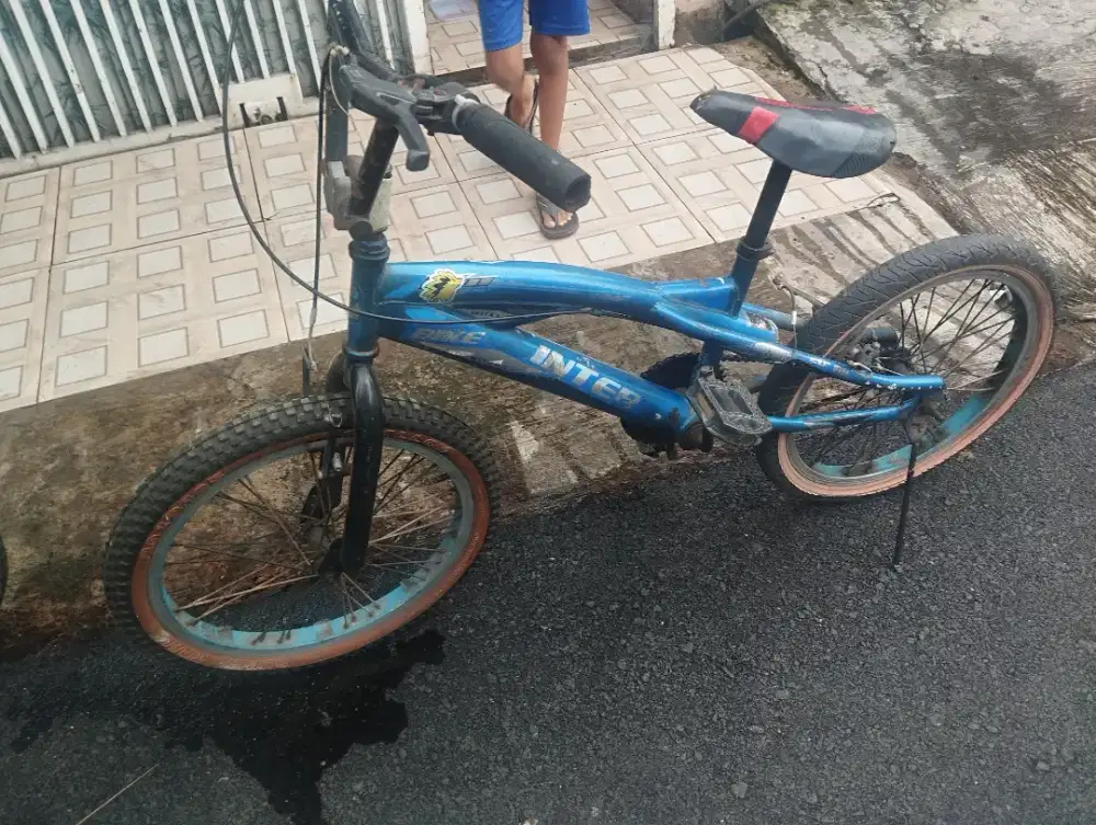 Sepeda anak laki-laki
