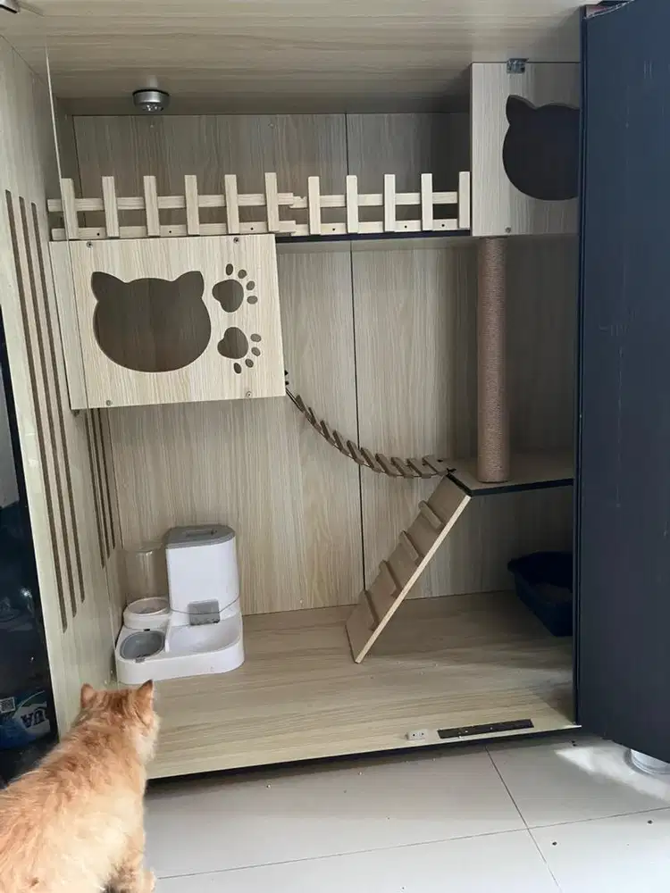 Kandang kucing siap pakai