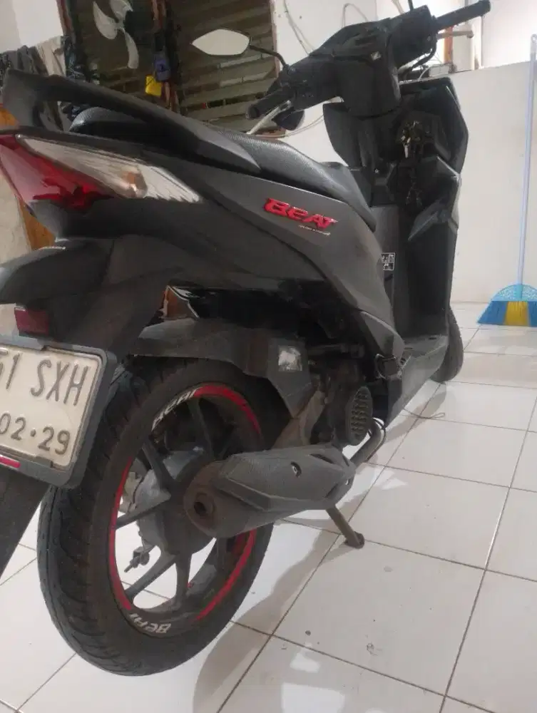 Beat deluxe 2024, pajek hidup