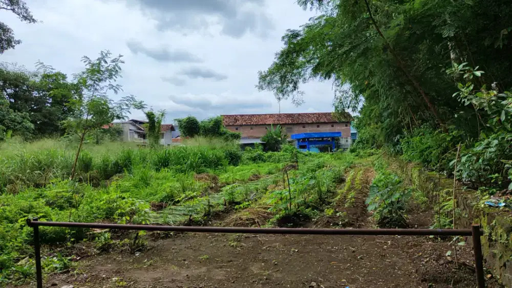 Tanah Strategis Karangwuni JL Kaliurang  5.3