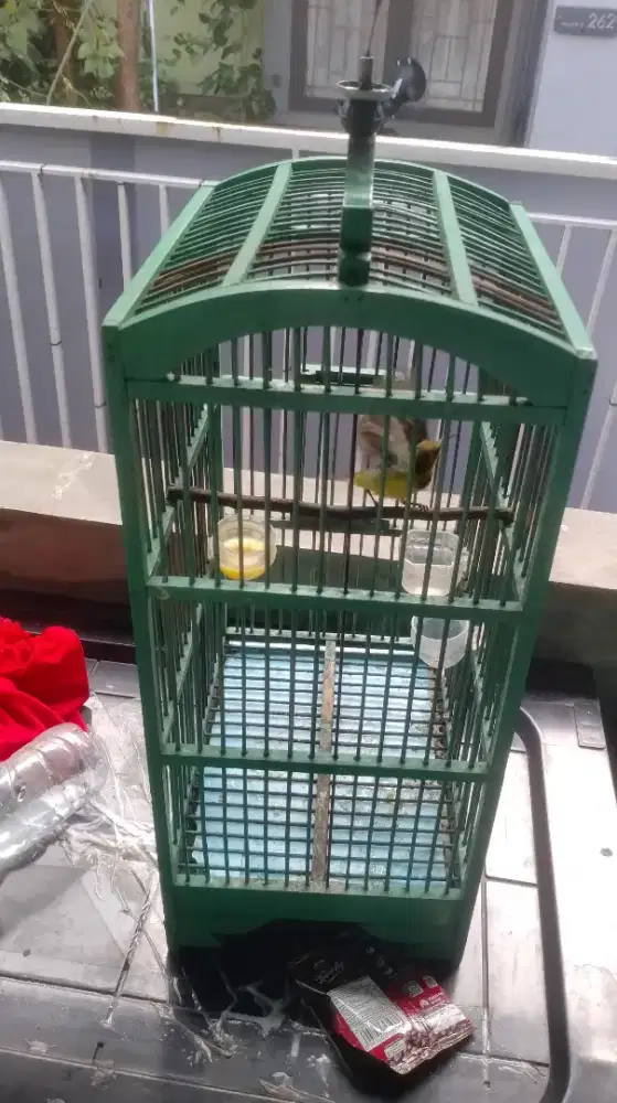 Jaminan jantan burja rawatan empat bulan udah lumayan rajin bunyi