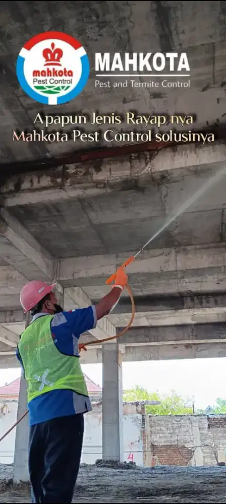 Dekorasi rumah anda terkena serangan rayap panggil kami Anti Rayap