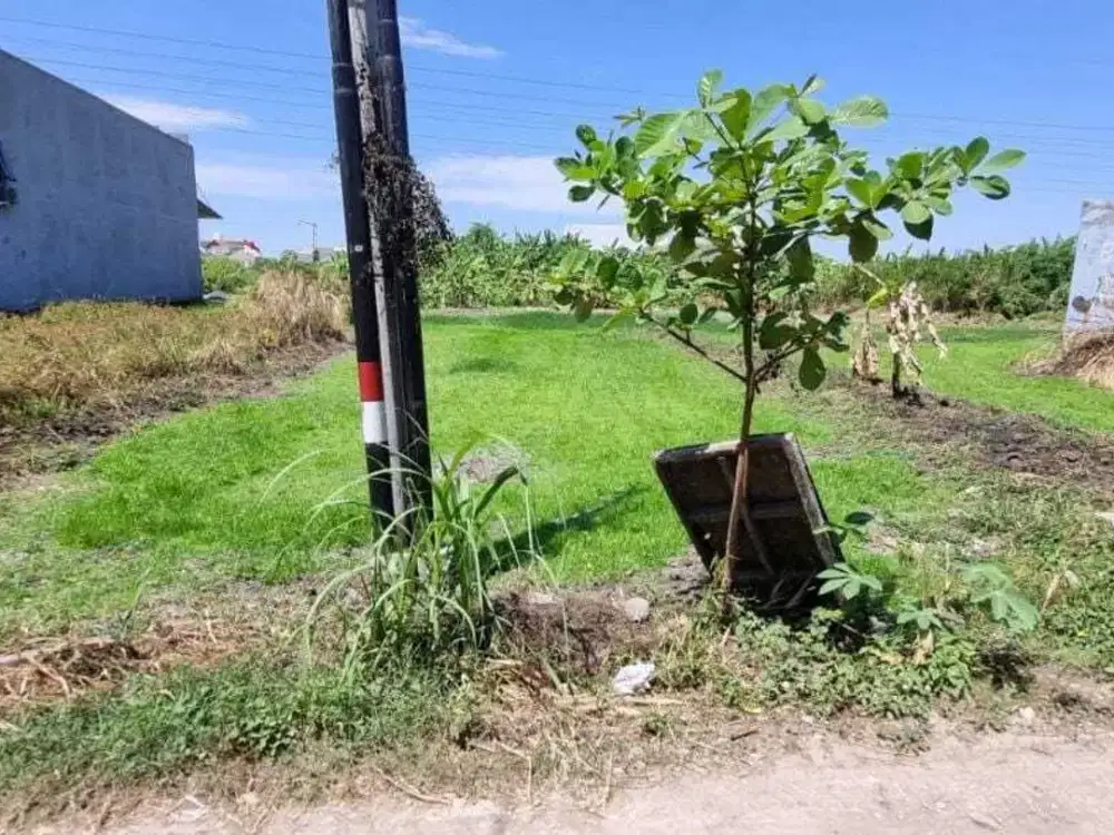 Dijual Tanah Kering Di Jalan Jeruk Wage Taman Sidoarjo