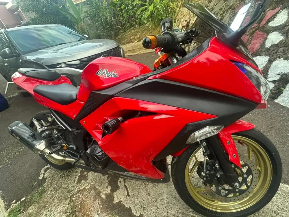 Kawasaki 250fi old 2014