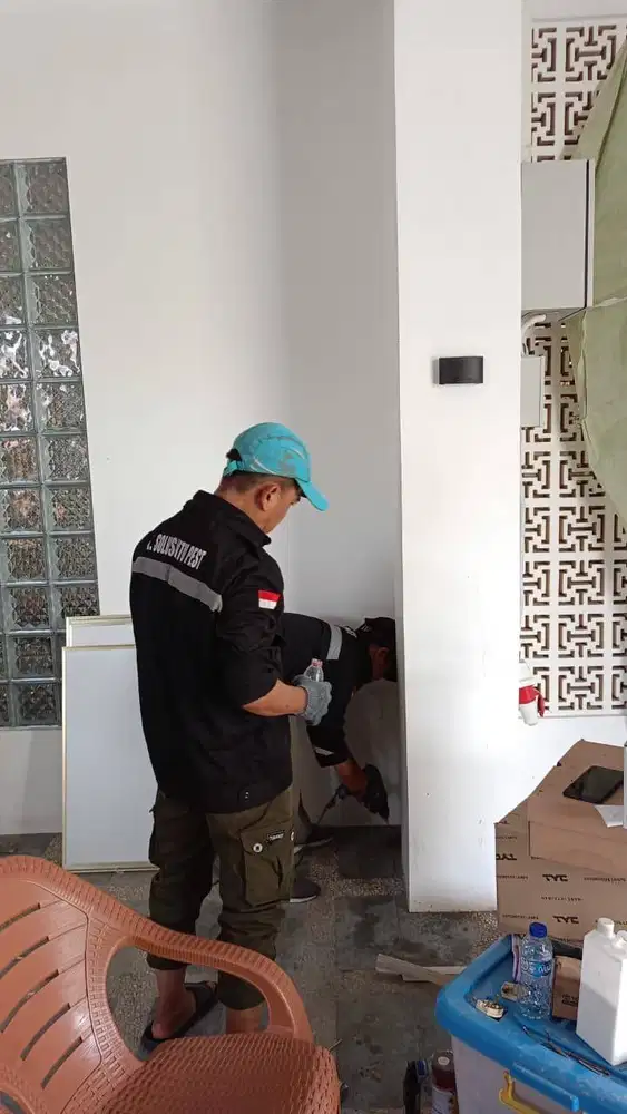 Ahli rayap basmi rayap hingga tuntas bergaransi