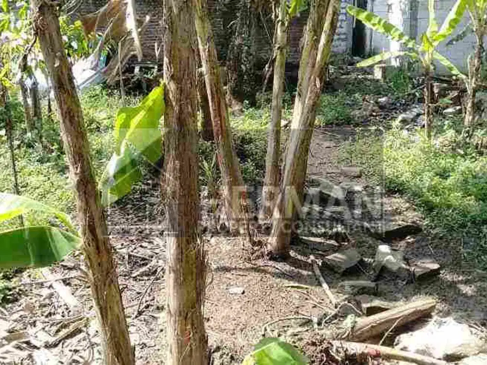 Tanah Tembalang Bulusan Utara Undip