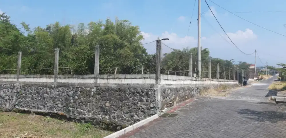 KEBUN JERUK DI POROS JALAN KOTA WISATA BATU - MALANG