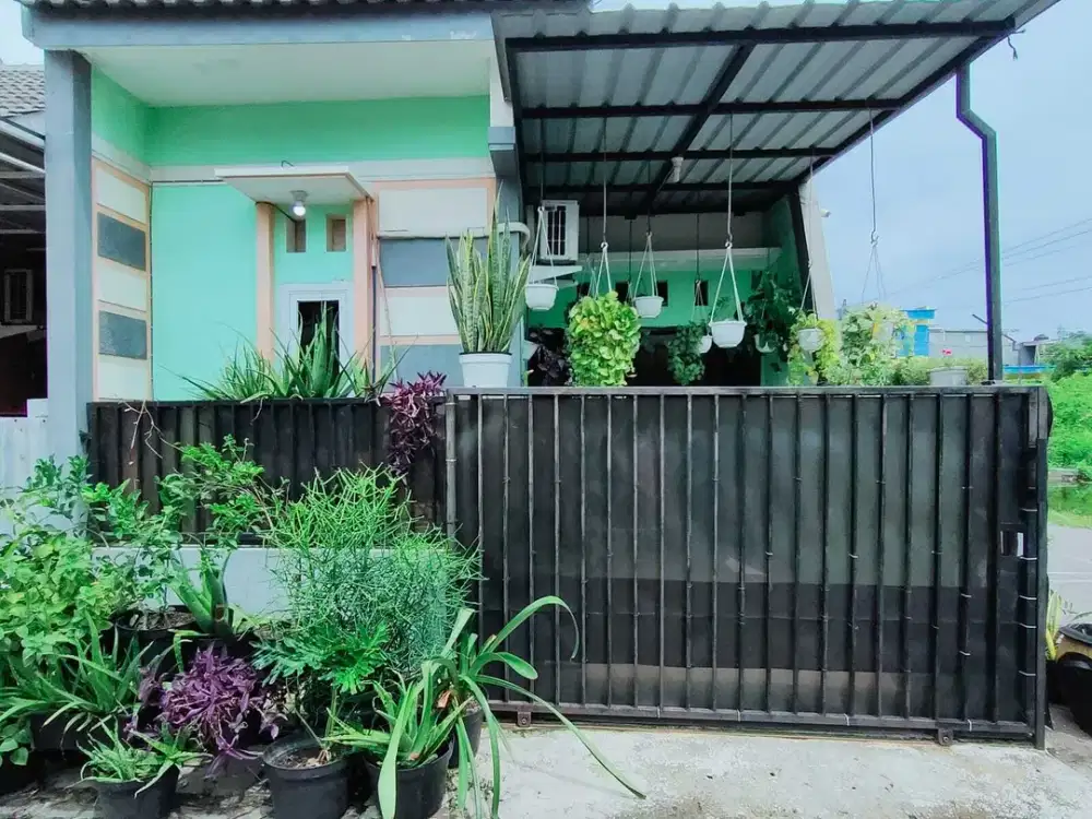 Rumah Murah Di Medokan Ayu Rungkut Surabaya Timur