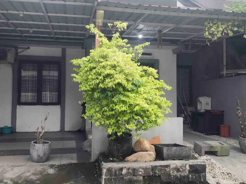 ‼️Rumah Minimalis Siap Huni di Spring of tommorow Medaeng