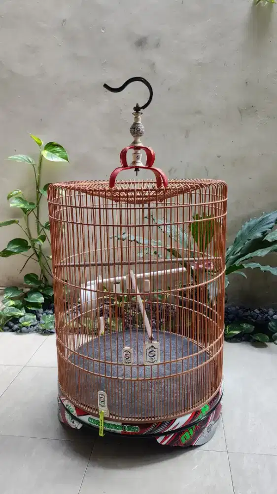 Kandang Murai Ebod Jaya