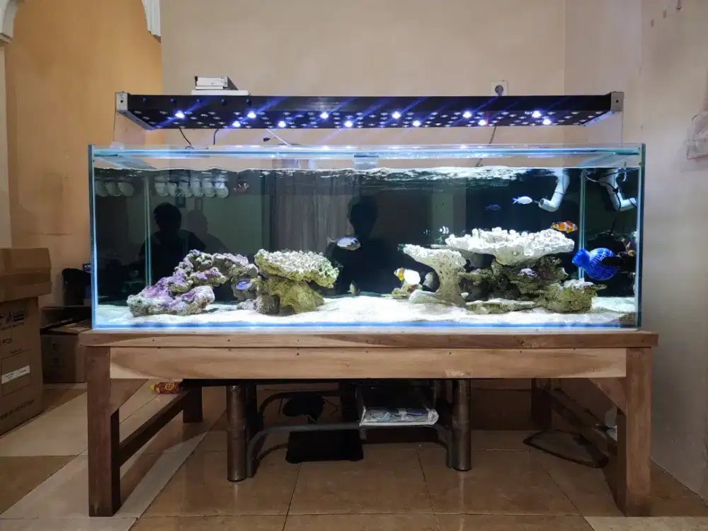 Jual Aquarium Laut 1.5 Meter Full Set Semarang