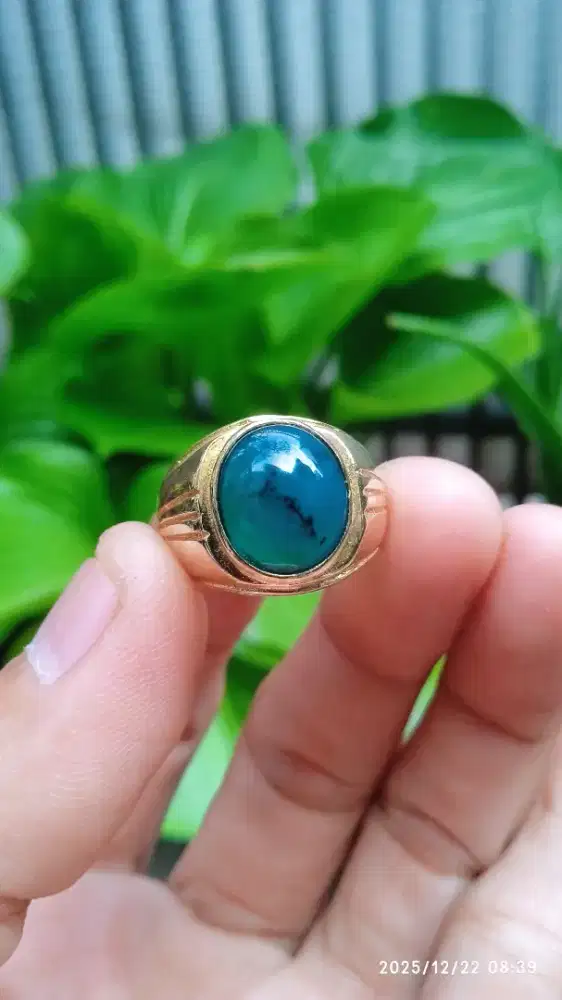 BACAN DOKO NATURAL DIMENSI KANTORAN
