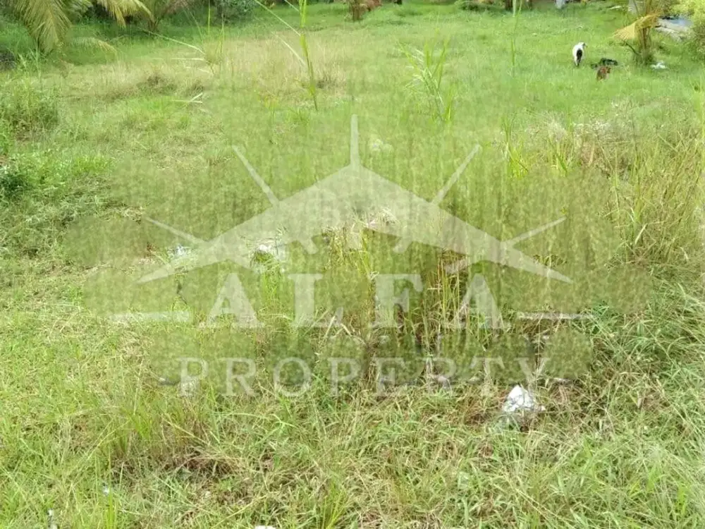 Jual Tanah SHM 6 Hektare Dekat Pelabuhan Kawasan Premium