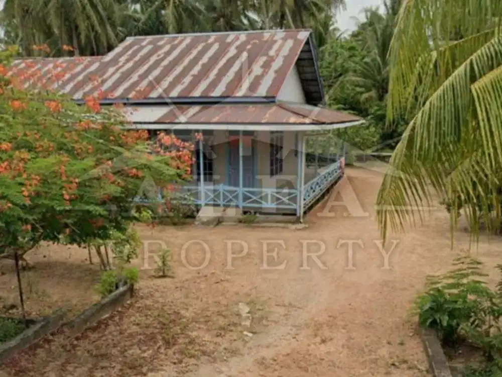 Jual Tanah Luas Plus Kebun Sudah Timbun Keras Cocok Bangun Villa Mess Resort Kantor