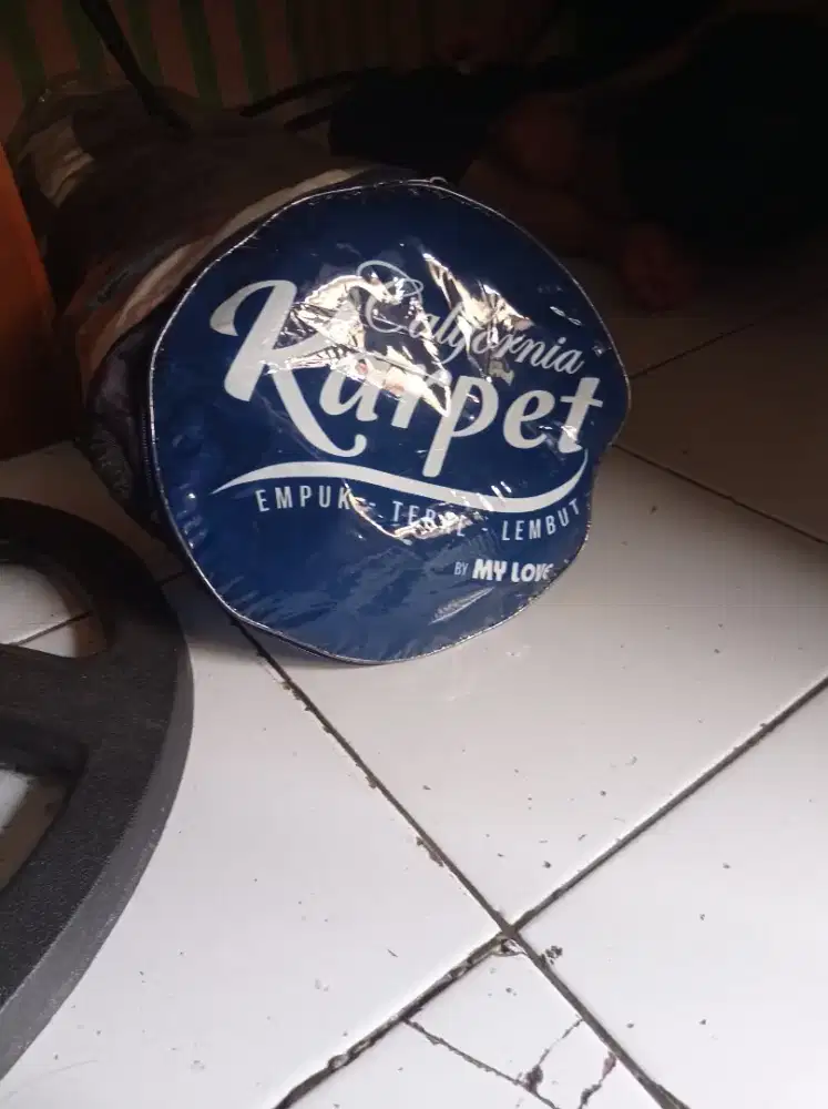 Kasur lantai bulu halus