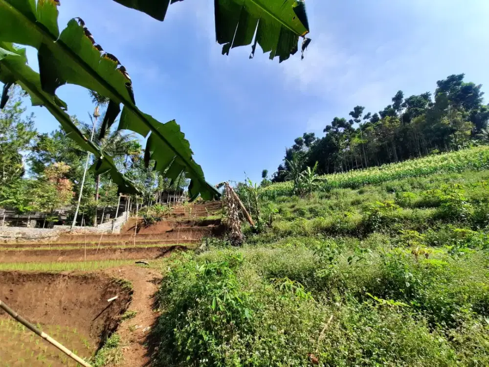 tanah potensial di Pasir impun Bandung