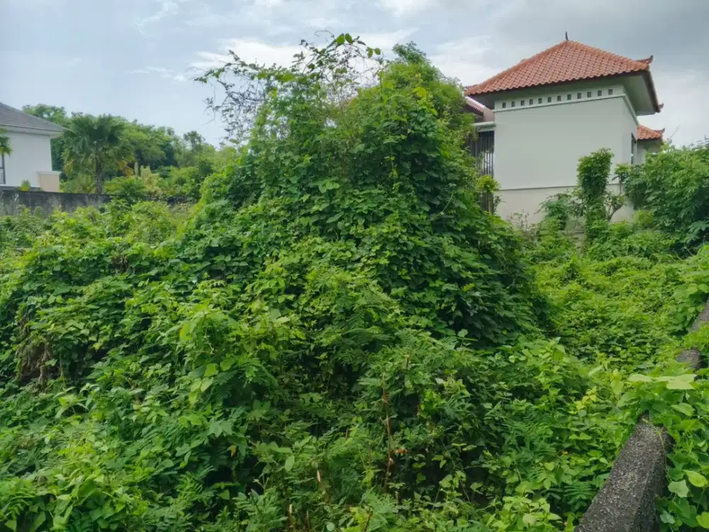 DIJUAL 1 BIDANG TANAH DENGAN TOTAL LUAS 699 M2 - BADUNG