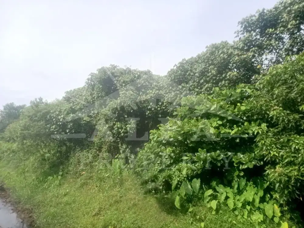 Jual Tanah SHM Cocok Bangun Ruko Kantor Usaha Bengkel Gudang Toko Bangunan