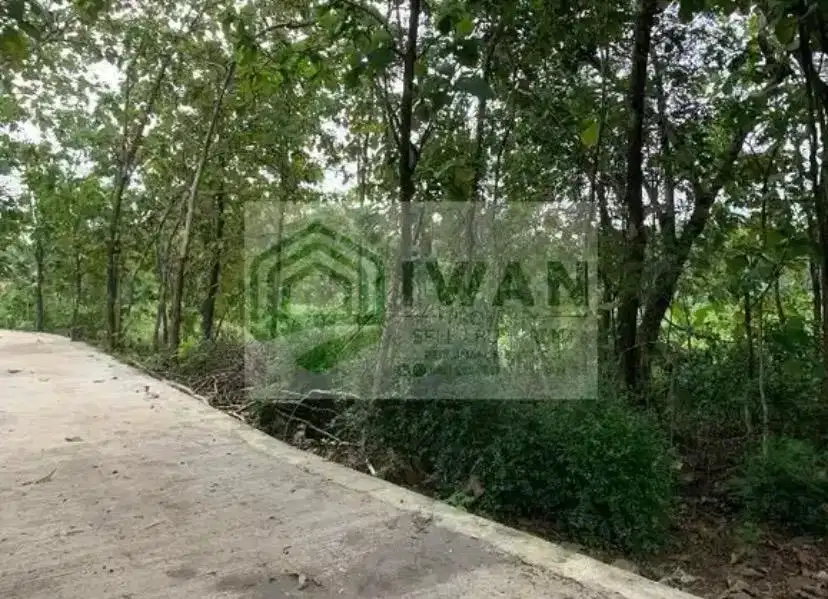 Tanah Murah Bisa Perluasan