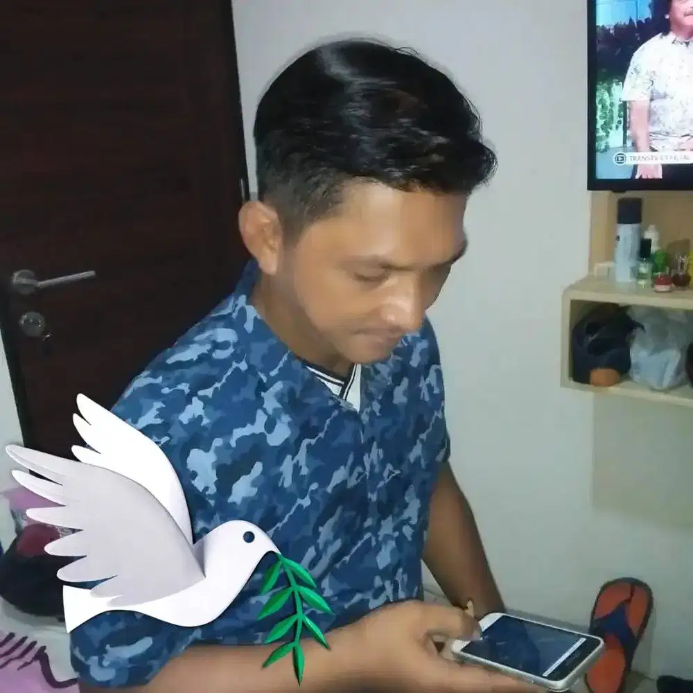 Cari kerja sebgai art, perawatan tanaman dll ( Serabutan)