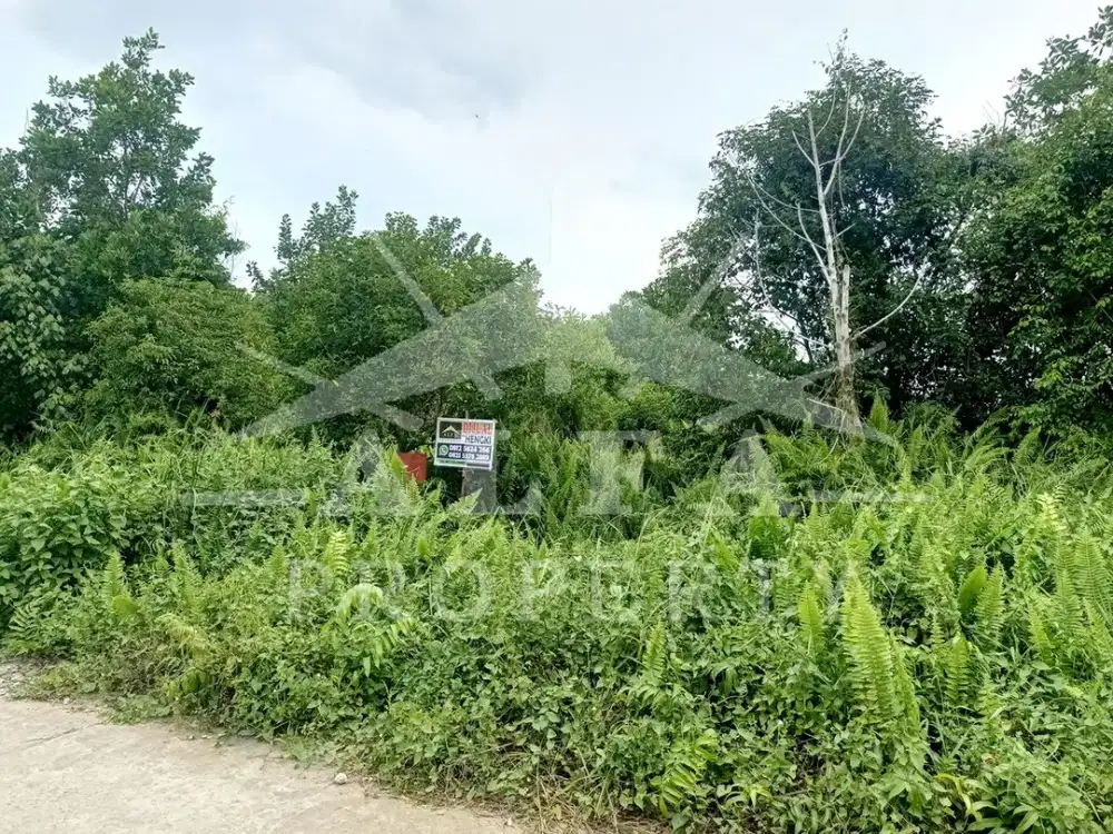 Jual Tanah SHM Harga Murah Dekat Universitas Sekolah Pusat Bisnis