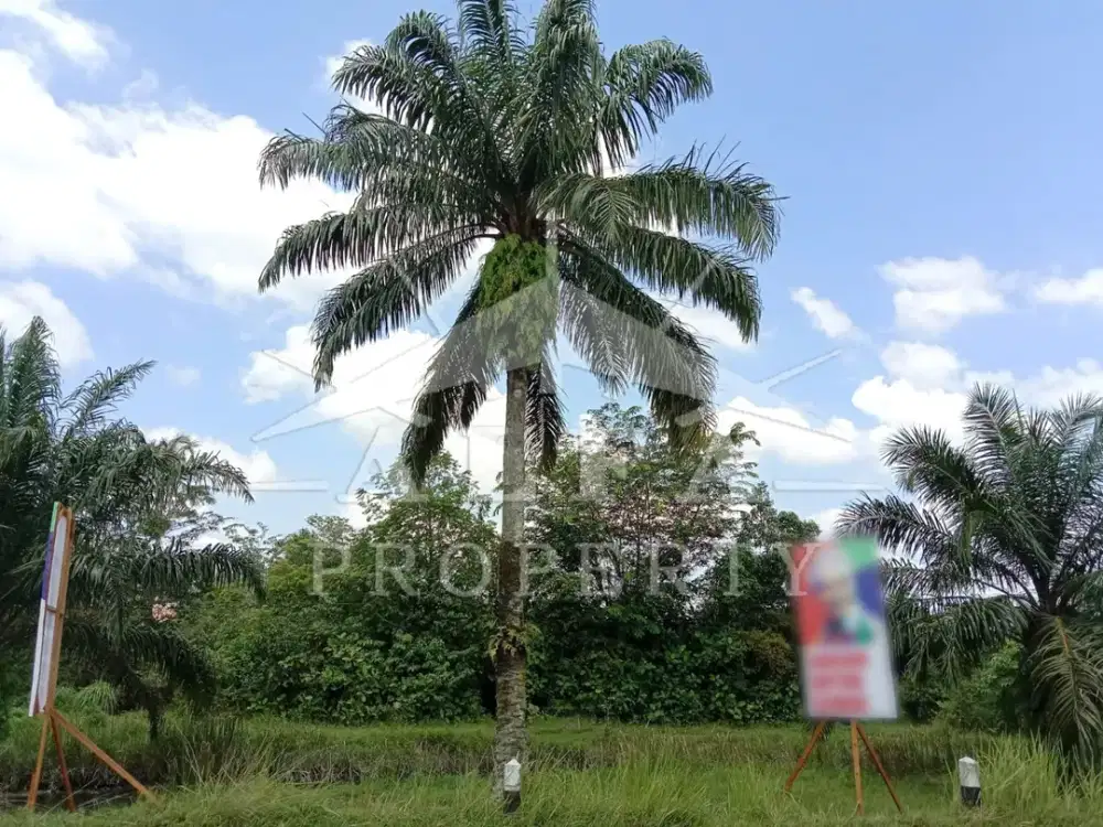 Jual Murah Tanah Investasi Siap Bangun Tengah Kota Strategis