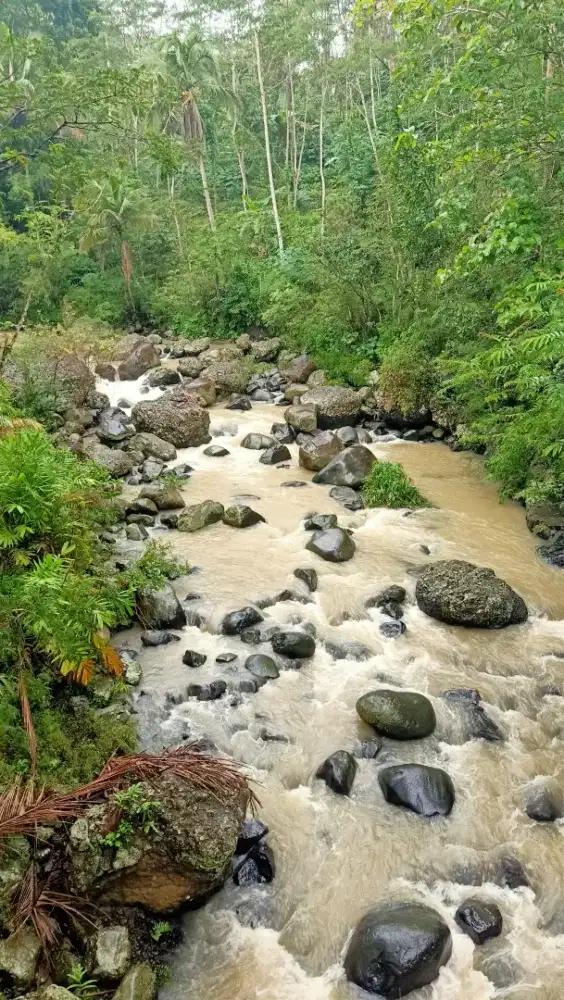 Dijual tanah cantik pinggir sungai dekat fasum di Samigaluh kulonprogo