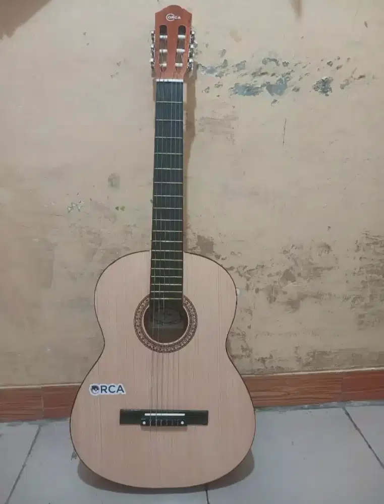 Gitar Orca Mulus