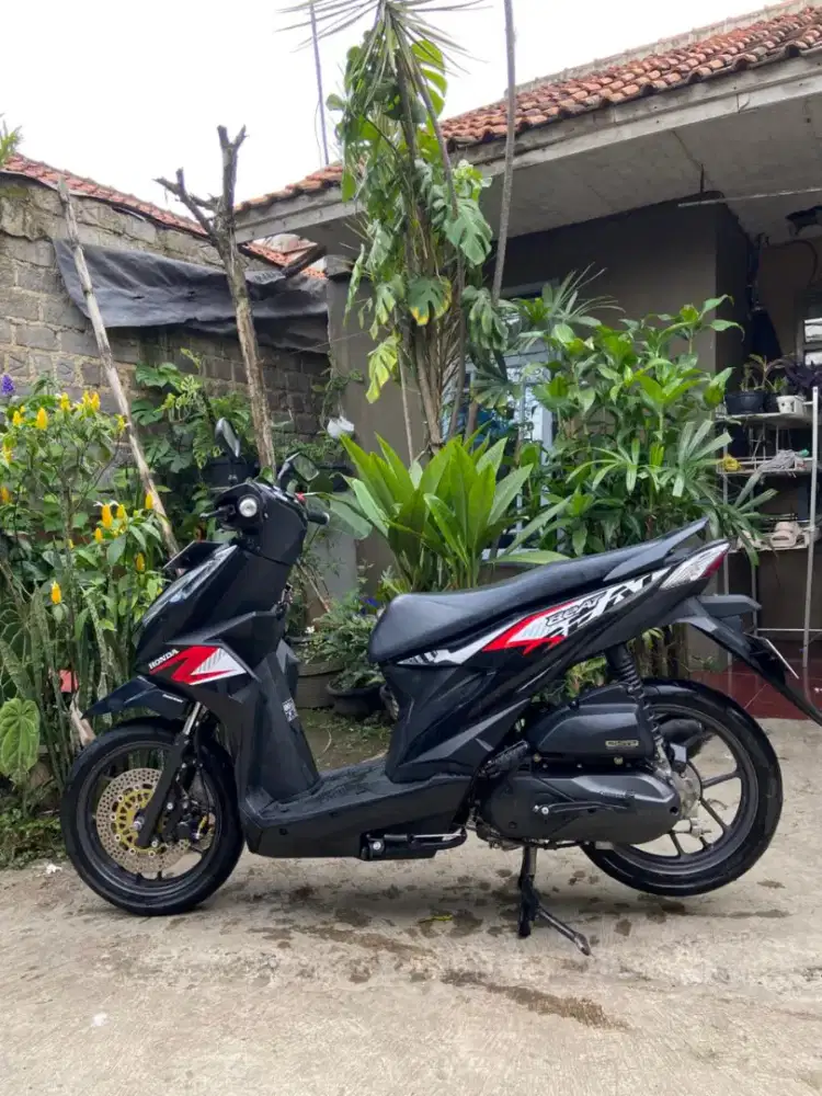 Beat cbs 2023 orsinil