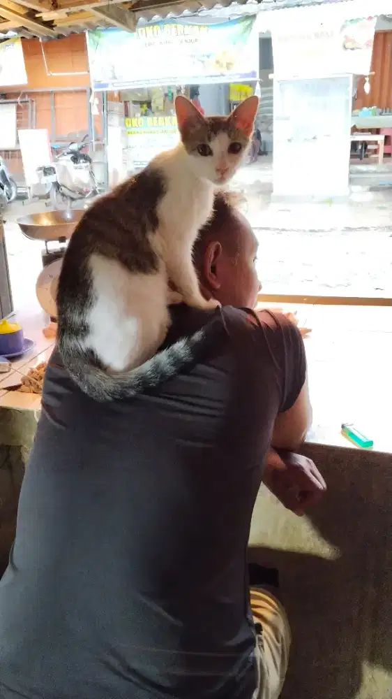 Kerja apa saja,,selitaran cileungsi