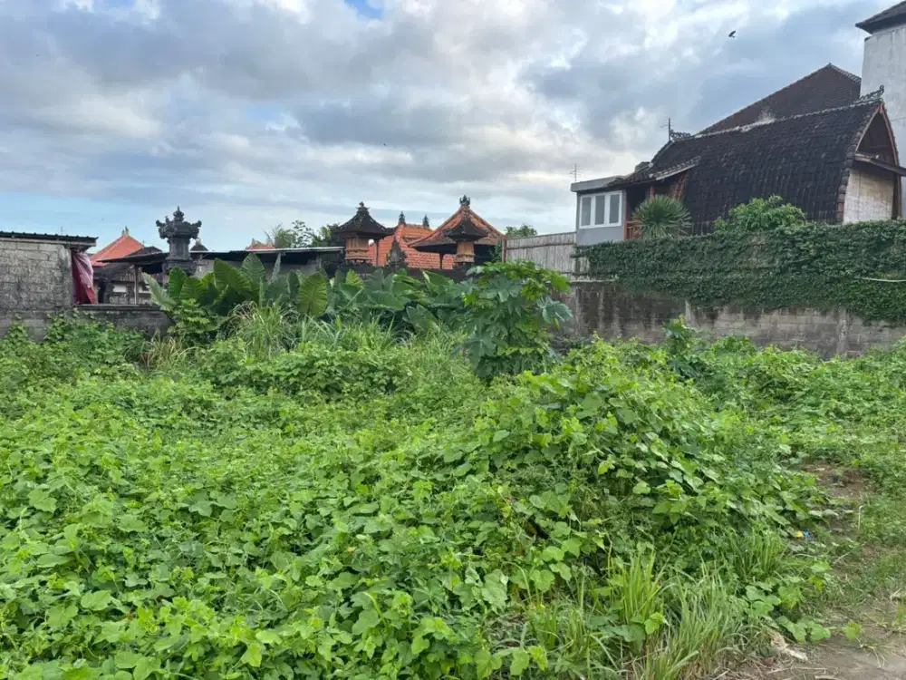 Tanah murah full view sawah zona kuning ubud gianyar bali