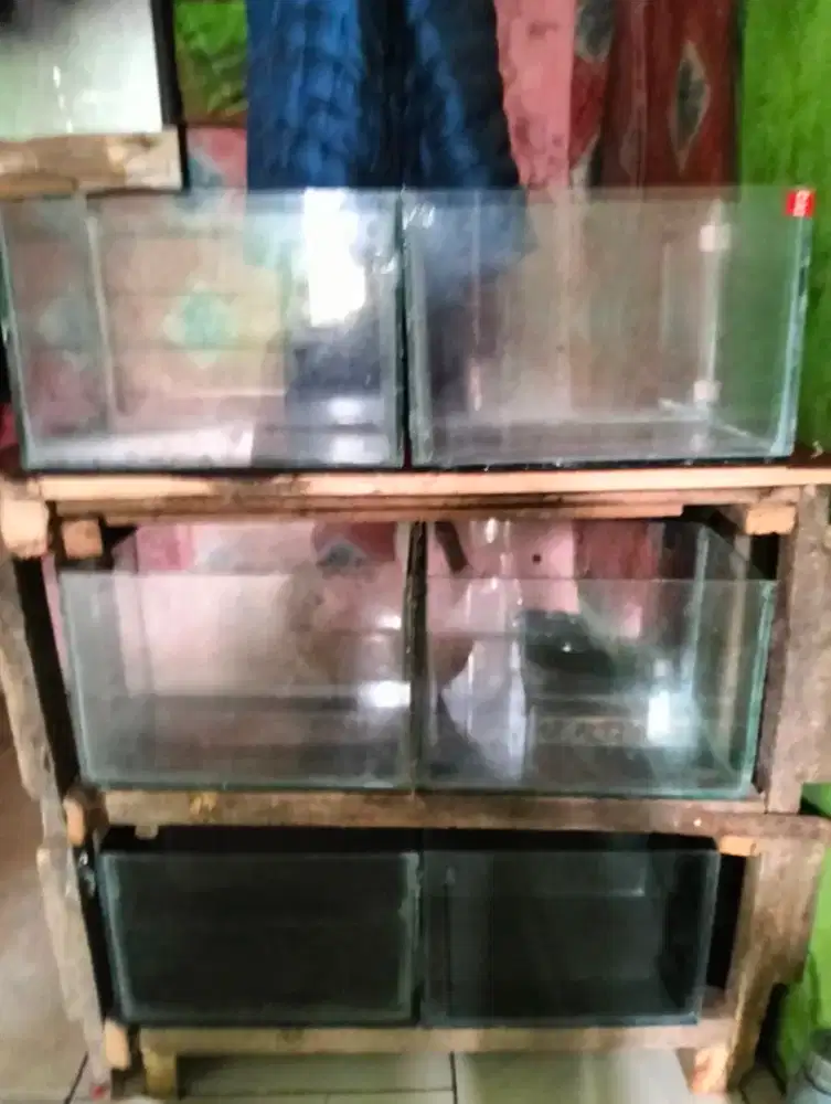 6 Buah Aquarium P30 L20 T20