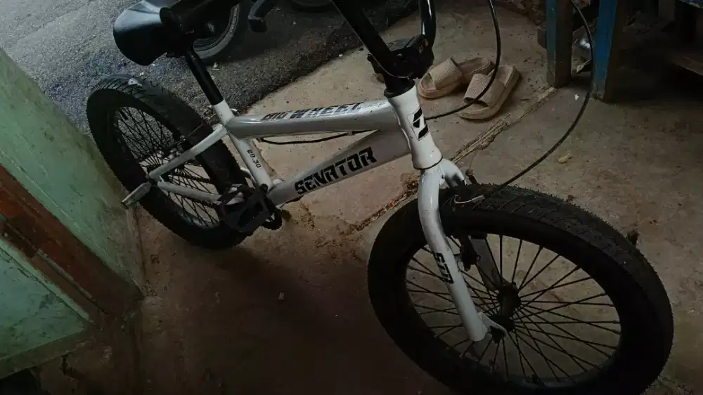 Sepeda dewasa senator