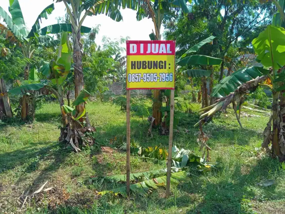 tanah siap bangun termurah dekat sman 1 bojongsoang 2 juta permeter