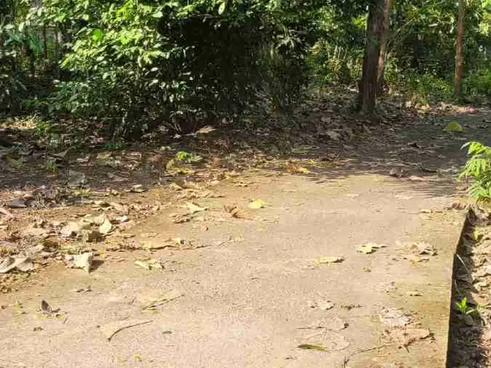 JUAL TANAH DI KARANGSARI PENGASIH KULONPROGO