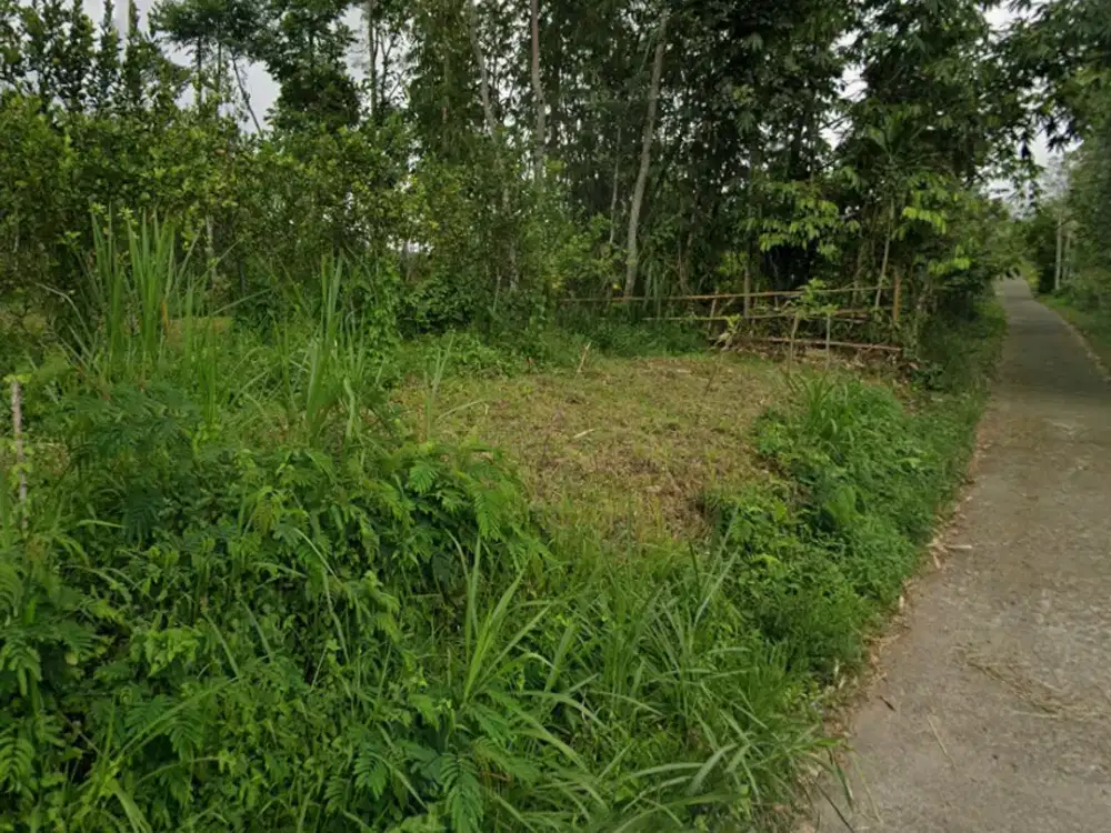 DIJUAL 1 BIDANG TANAH DENGAN TOTAL LUAS 2800 m2 - BANGLI