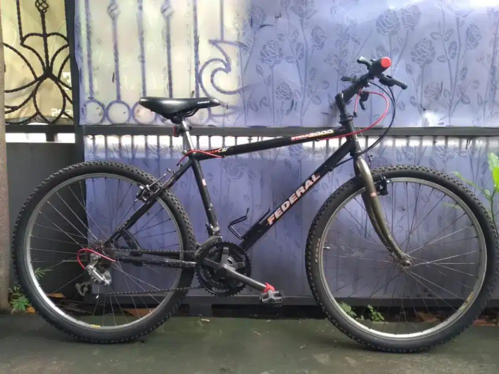 Sepeda federal Alley cat original classic