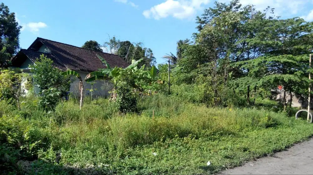 Jual Tanah Pekarangan Kosong di Cebongan Sleman luas 461 m2