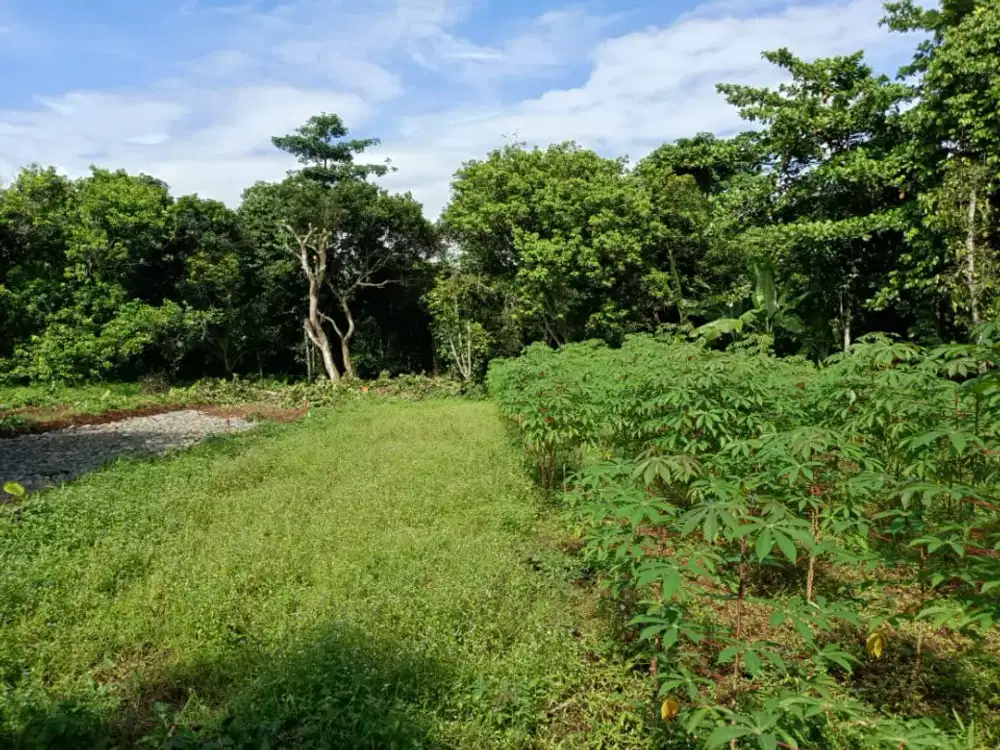 Spesial Murah Dimulai 1,5Jtan Tanah Kavling 7 Menit Toll Burangkeng